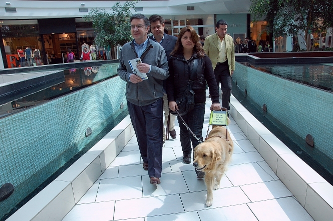 Ministro Lavín, Director del Senadis recorren centro comercial junto a Patricia Azócar y su perro guía.