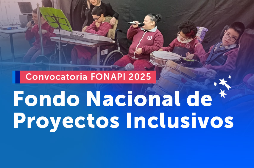 Fondo nacional de proyectos inclusivos, FONAPI 2025